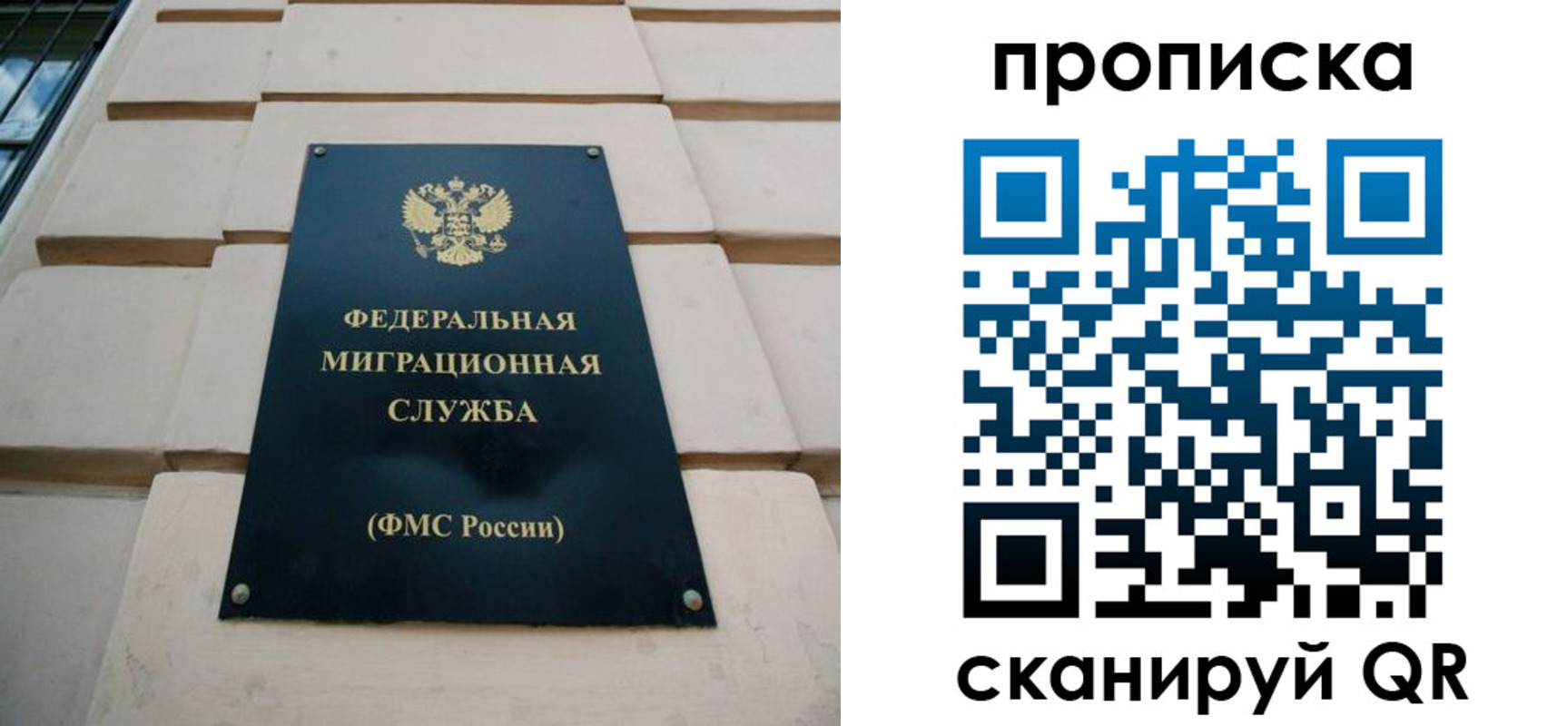 прописка поиск в Красноярске